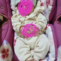 رورویک و کریر حمل نوزاد