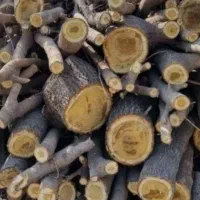 خرید چوب|خدمات باغبانی و درختکاری|نهاوند, |دیوار