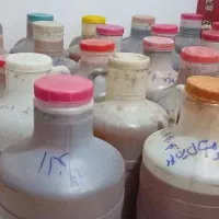عسل|خوردنی و آشامیدنی|نیشابور, فیض آباد|دیوار