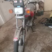 هندا سند دار  سالم