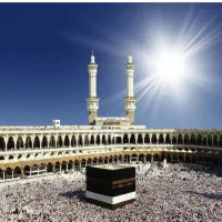 یک عدد فیش مکه واجب