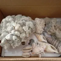 لوازم آکواریوم