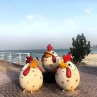 کیش 5 روزه  اقساط