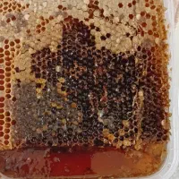 عسل طبیعی