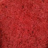 زعفران اصل و خالص