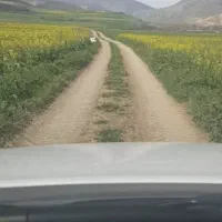 زمین-کشاورزی