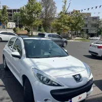 207پانا دنده مدل۱۴۰۳ در حد