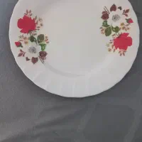 بشقاب و دیس چینی زرین