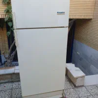 یخچال ارج دو در