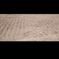 زمین کشاورزی دیم