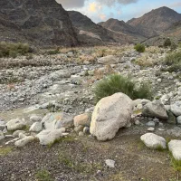 فروش-زمین
