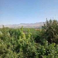 اجاره سویت