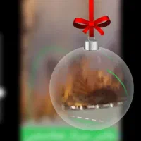 گردنبند نقره شجر قاعنات مشهد