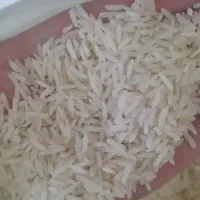 برنج هاشمی مجلسی آستانه