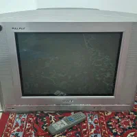 تلویزیون