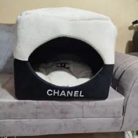 کلبه ی گربه وسگ