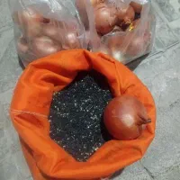 بذر  پیاز فلات درجه یک