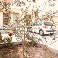 ویلایی