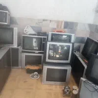 تلوزیون