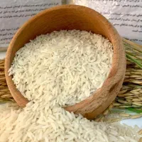 برنج طارمی هاشمی اعلا
