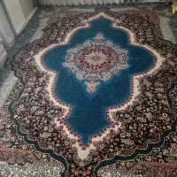 فرس ۱۲ متری درحد نو