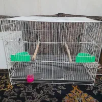 قفس