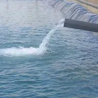 اجاره-زمین-کشاورزی-حدودا-5هکتار-با-آب-کافی