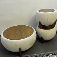 ست جلو مبلی و عسلی (تدی)پاف