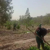 استخدام نیرو جهت کار در فضای سبز  منطقه ۱۸ تهران