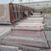 کارگر برای قالیشویی