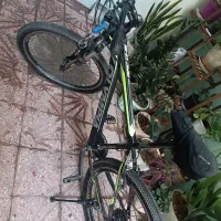دوچرخه معاوضه میکنم با طوطی