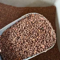 قهوه عمده کلی و جزائی  مرادی تلخ وشیرین