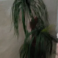فروش نخل مصنوعی