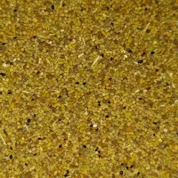فروش ۲۵ کیلو بذر یونجه