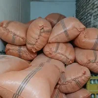 کاه زابل موجود شد (زهک)