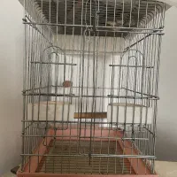 قفس پرنده