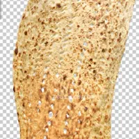 خمیر گیر سنکگ