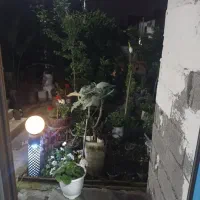اجاره روزانه سوئیت