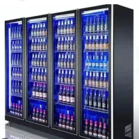 یخچال ایلیا ایستاده