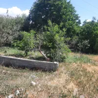 ۳۶۰متر باغچه درجابان|فروش زمین و ملک کلنگی|تهران, هاشمآباد|دیوار