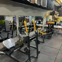 باشگاه ورزشی آلپ   ویژه بانوان