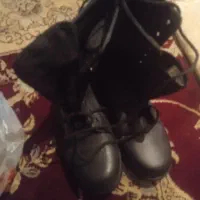 دوجفت پوتین نونو