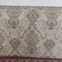 پشتی
