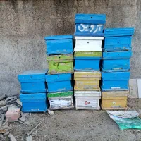 صندوق خالی زنبور عسل.15عدد.دو عدد ازشون طبق هست