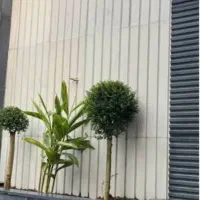 امور ساختمانی بنایی