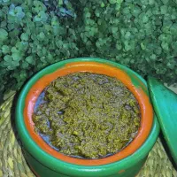 قرمه سبزی،رب انار،رب الوچه