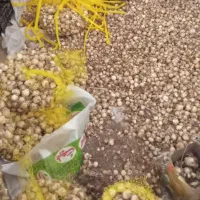 موسیر در هرسین
