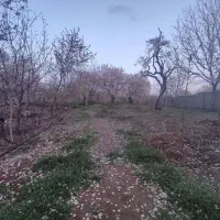 باغ فروشی فوری