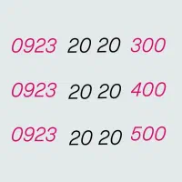 0923.20.20.300