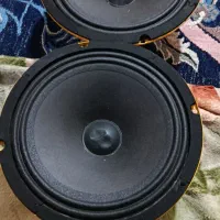 یک جفت  باند گرد نونو